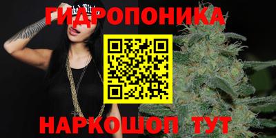 гашишное масло Малгобек