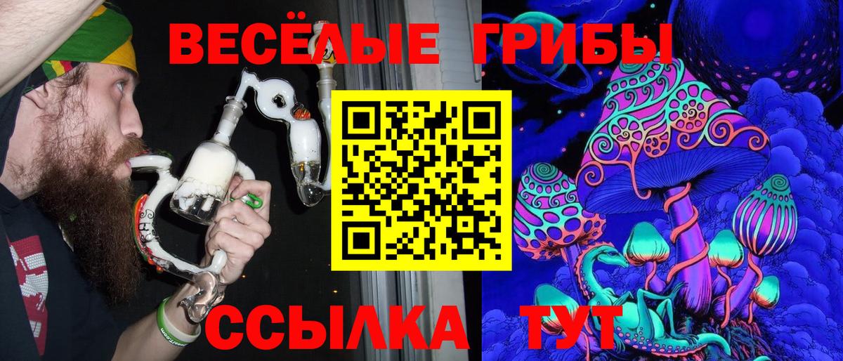 Псилоцибиновые грибы Psilocybe Губкин